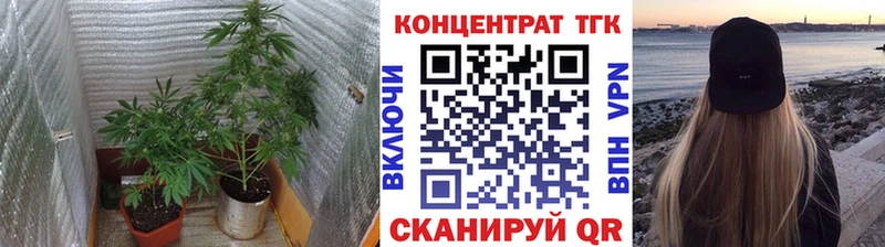 дарк нет состав  Мелеуз  Дистиллят ТГК Wax 